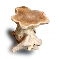 Mushroom Stool